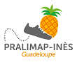 Lancement du programme PRALIMAP-INES sur deux collèges pilotes