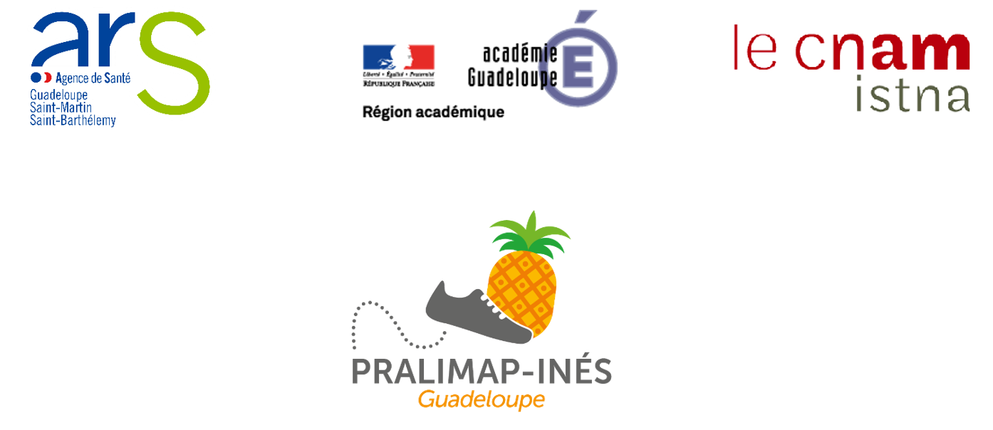 Le programme PRALIMAP-INES présenté par le professeur Serge BRIANÇON