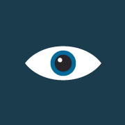 Télésurveillance